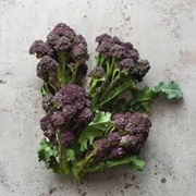 British Purple Sprouting Broccoli