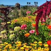 Fort Vancouver Garden