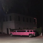 William Crooks - STRETCH PINK HUMMER