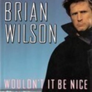 Wouldn't It Be Nice: My Own Story