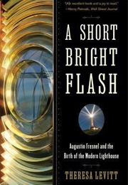 A Short Bright Flash (Theresa Levitt)
