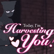 Today, I'm Harvesting You!