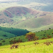Bateke Plateau