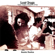 Scenic Routes (Lost Dogs)