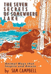 The Seven Secrets of Somewhere Lake (Sam Campbell)