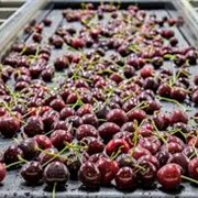 Washington Cherries