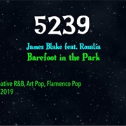 #8730 Barefoot in the Park by James Blake Featuring Rosalia