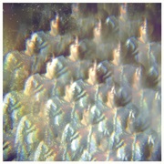 Shut Eye (Stealing Sheep)