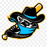 Quad Cities River Bandits (A+)
