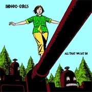 All That We Let in (Indigo Girls, 2004)