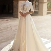 Overdress With Neck, Sleeves, Overskirt