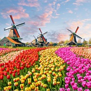Holland