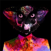 Mirror (Robots Don't Sleep, 2014)