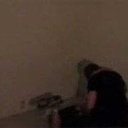 The Human Pet (2006-2008)