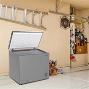 Deep Freeze Chest in Garage