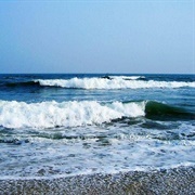 Lake Khanka / Xingkai Lake , Russia / China