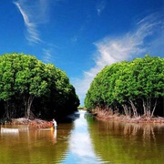 Mũi Cà Mau National Park, Vietnam