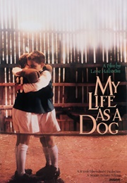 Lasse Hallstrom - My Life as a Dog (1987)