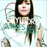 Pursuit Lets Wisdom Ride the Wind - A Skylit Drive