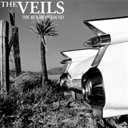 Vicious Traditions - The Veils