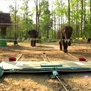 S5.E1: Is God an Alien Concept?