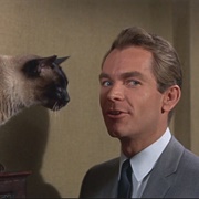 Zeke Kelso (That Darn Cat!, 1965)