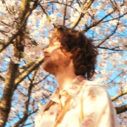 Fruit From the Trees