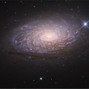 Sunflower Galaxy