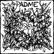 The Fine Line Between Being Conscious and Self Harm - Padme