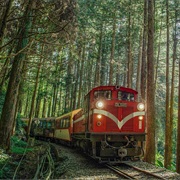 Forest Train, Taiwan
