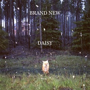 Daisy (Brand New, 2009)