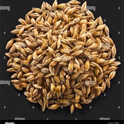 Unhulled Barley
