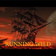 Running Wild - Tortuga Bay