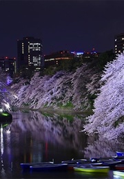 Swaddling Clothes (Yukio Mishima)