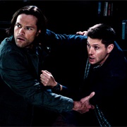 13.8 the Scorpion and the Frog