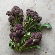 Purple Sprouting Broccoli