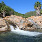 Sierra La Laguna Biosphere Reserve, Baja California Sur, Mexico