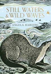 Still Waters and Wild Waves (Angela Harding)