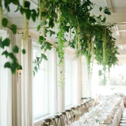 Greenery Garland on Ceiling