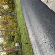 Stark Road, Michigan