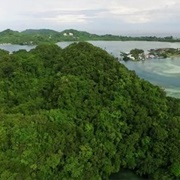 Ngaremeduu Bay Conservation Area, Palau