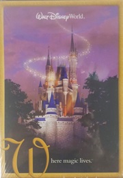 Walt Disney World Vacation Planning Video DVD (2002)