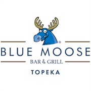 Blue Moose