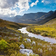 Kogelberg Nature Reserve, South Africa