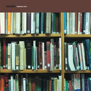 Elephant Gun - Beirut