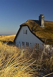Notebook: House Thatched Cottage Dune Coast View 8.5" X 11" 150 Ruled Pages (Wild Pages Press)