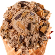 Chocolate Peanut Buter Chip Ice Cream