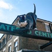 The Catford Cat