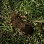 Northern Exposure: "Aurora Borealis: A Fairy Tale for Big People" (S1,E8)