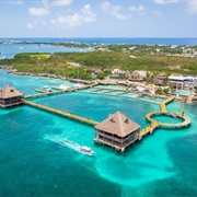 Dolphin Discovery Isla Mujeres